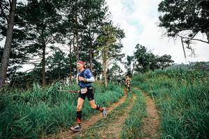 BIB: 
                            <button type="button" onclick="openModal(26036422)" class="btn btn-primary btn-sm float-right btn-popup" data-toggle="modal" data-target=".modal-high-quality">
                        <i class="fas fa-shopping-cart"></i> Add to Cart
                    </button>
                                            <button type="button" onclick="isThisMe(26036422, true)" class="btn btn-success btn-sm float-right btn-popup btn-isme hidden" data-toggle="tooltip" data-placement="bottom" title="นี่คือรูปของคุณใช่ไหม คลิกที่นี่เพื่อเอาเข้าอัลบั้ม">
                        <i class="fas fa-plus"></i> Add to album
                    </button>
                    <button type="button" onclick="isThisMe(26036422, false)" class="btn btn-warning btn-sm float-right btn-popup btn-isnotme hidden">
                        <i class="fas fa-ban"></i> Remove from album
                    </button>